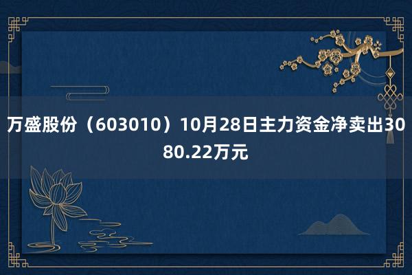 万盛股份（603010）10月28日主力资金净卖出3080.22万元