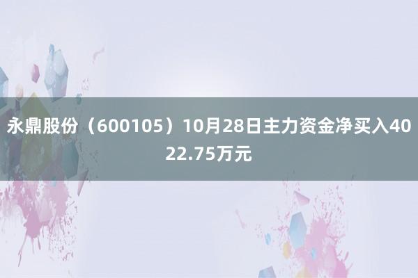 永鼎股份（600105）10月28日主力资金净买入4022.75万元