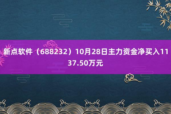 新点软件（688232）10月28日主力资金净买入1137.50万元