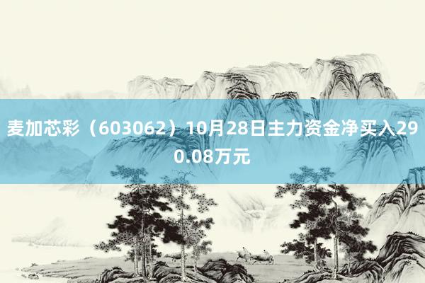 麦加芯彩（603062）10月28日主力资金净买入290.08万元