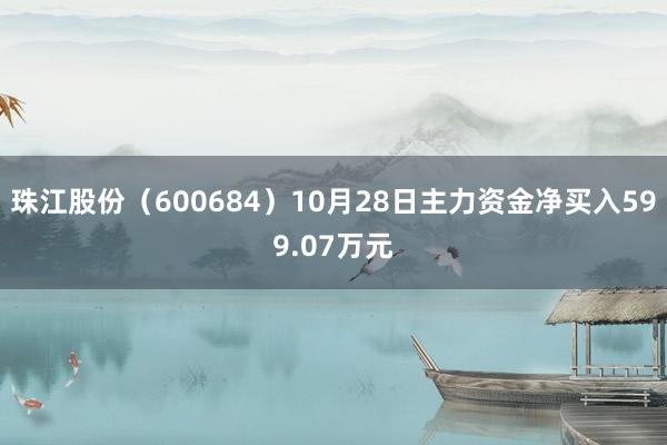 珠江股份（600684）10月28日主力资金净买入599.07万元