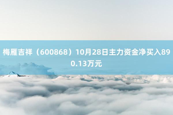 梅雁吉祥（600868）10月28日主力资金净买入890.13万元