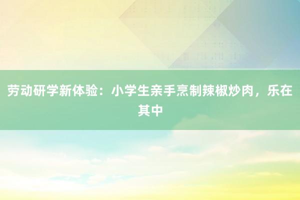 劳动研学新体验：小学生亲手烹制辣椒炒肉，乐在其中