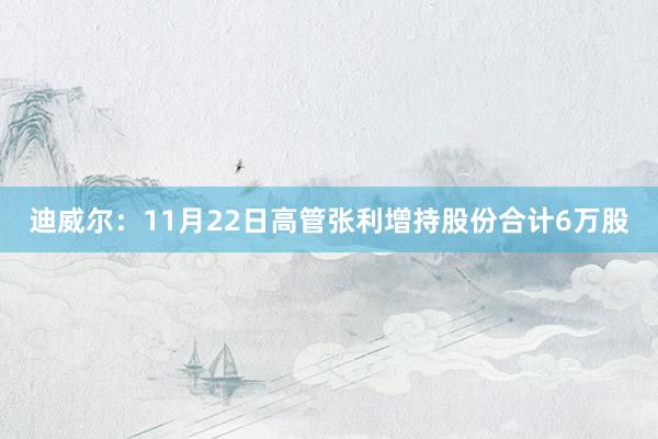 迪威尔：11月22日高管张利增持股份合计6万股