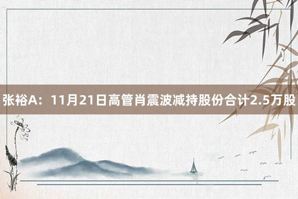 张裕A：11月21日高管肖震波减持股份合计2.5万股