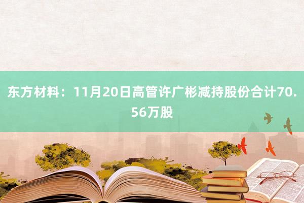 东方材料：11月20日高管许广彬减持股份合计70.56万股