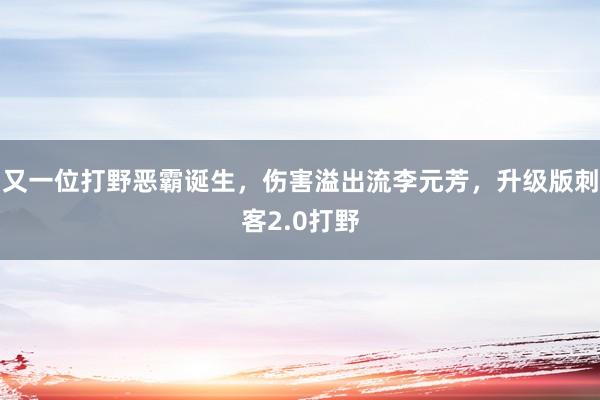 又一位打野恶霸诞生，伤害溢出流李元芳，升级版刺客2.0打野