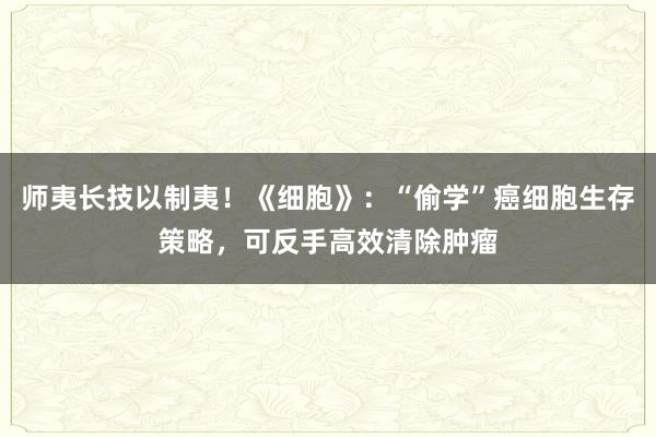 师夷长技以制夷！《细胞》：“偷学”癌细胞生存策略，可反手高效清除肿瘤