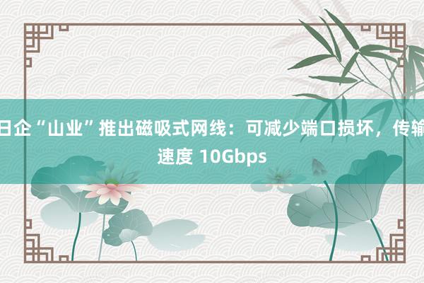 日企“山业”推出磁吸式网线：可减少端口损坏，传输速度 10Gbps