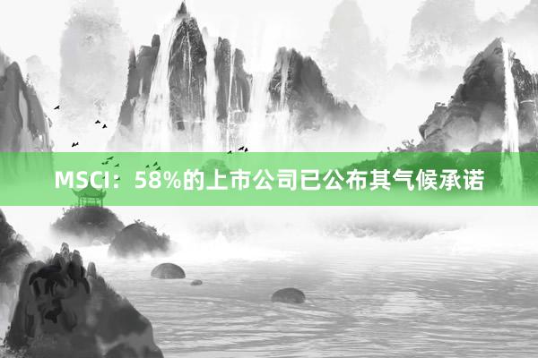 MSCI：58%的上市公司已公布其气候承诺