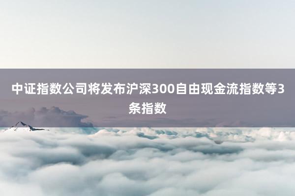 中证指数公司将发布沪深300自由现金流指数等3条指数