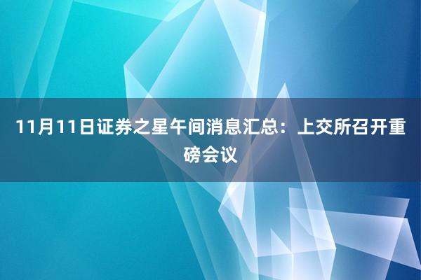 11月11日证券之星午间消息汇总：上交所召开重磅会议