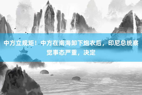 中方立规矩！中方在南海卸下炮衣后，印尼总统察觉事态严重，决定