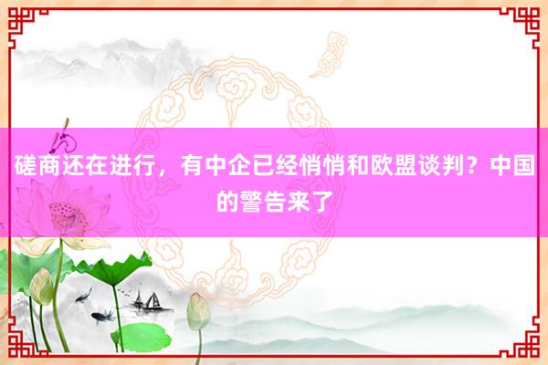 磋商还在进行，有中企已经悄悄和欧盟谈判？中国的警告来了