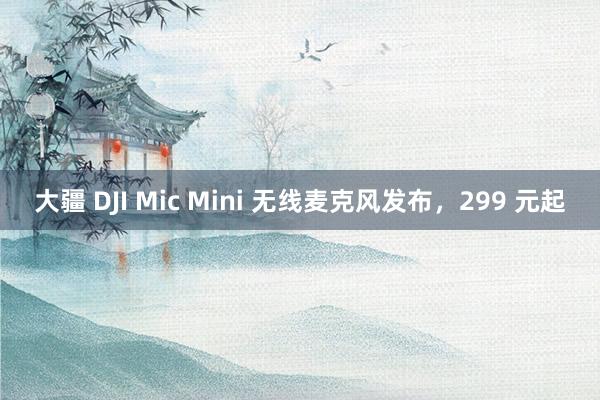 大疆 DJI Mic Mini 无线麦克风发布，299 元起