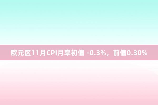 欧元区11月CPI月率初值 -0.3%，前值0.30%