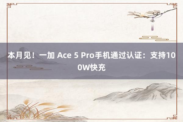 本月见！一加 Ace 5 Pro手机通过认证：支持100W快充