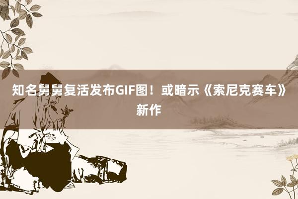 知名舅舅复活发布GIF图！或暗示《索尼克赛车》新作