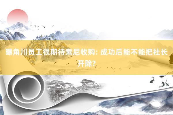 曝角川员工很期待索尼收购: 成功后能不能把社长开除?