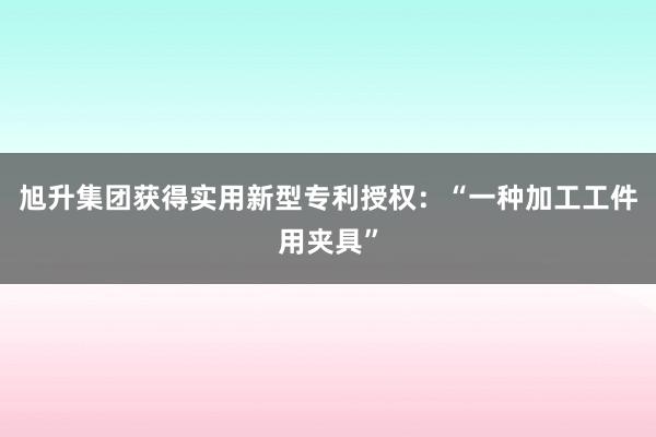 旭升集团获得实用新型专利授权：“一种加工工件用夹具”