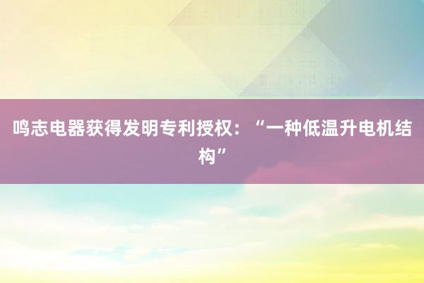 鸣志电器获得发明专利授权：“一种低温升电机结构”