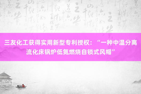 三友化工获得实用新型专利授权：“一种中温分离流化床锅炉低氮燃烧自锁式风帽”