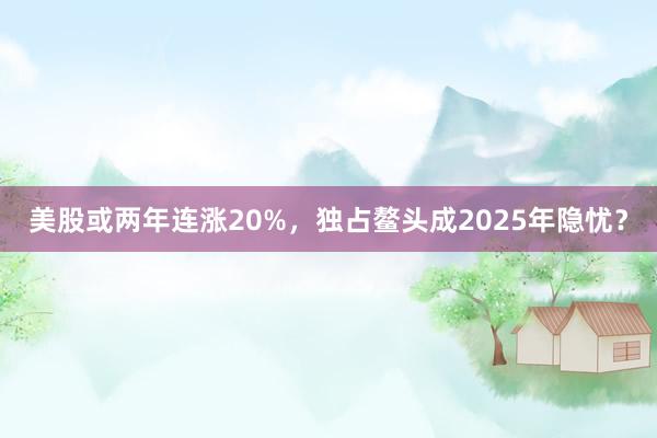 美股或两年连涨20%，独占鳌头成2025年隐忧？