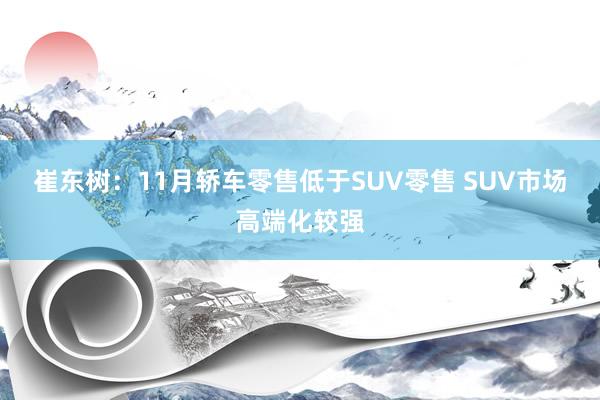 崔东树：11月轿车零售低于SUV零售 SUV市场高端化较强