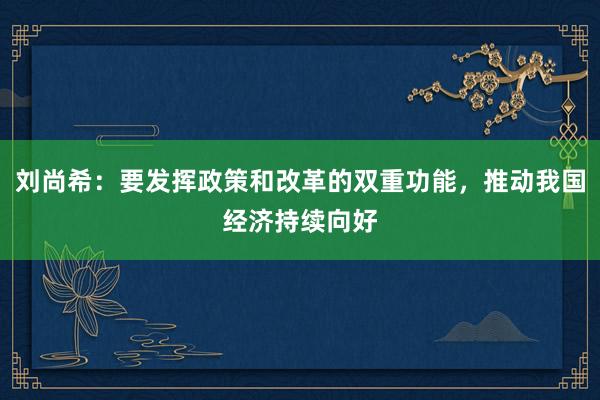 刘尚希：要发挥政策和改革的双重功能，推动我国经济持续向好