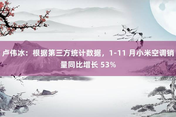 卢伟冰：根据第三方统计数据，1-11 月小米空调销量同比增长 53%