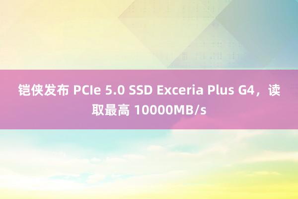 铠侠发布 PCIe 5.0 SSD Exceria Plus G4，读取最高 10000MB/s