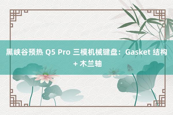 黑峡谷预热 Q5 Pro 三模机械键盘：Gasket 结构 + 木兰轴