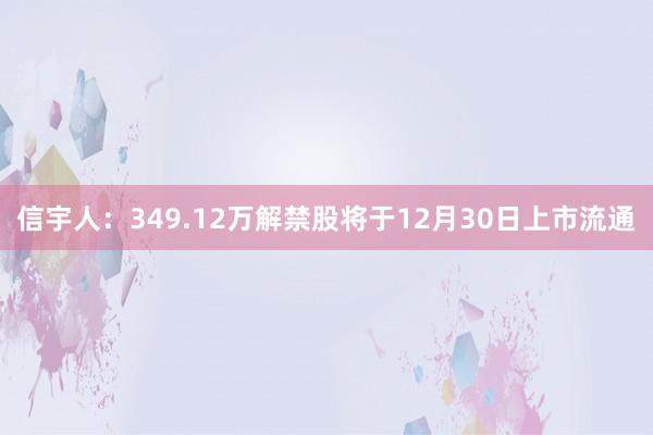 信宇人：349.12万解禁股将于12月30日上市流通