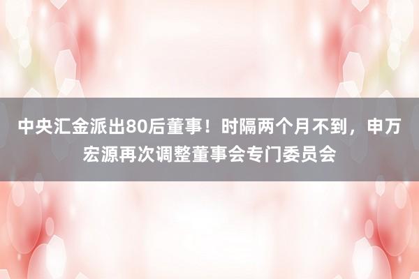 中央汇金派出80后董事！时隔两个月不到，申万宏源再次调整董事会专门委员会