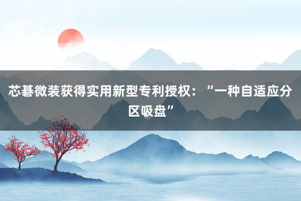 芯碁微装获得实用新型专利授权：“一种自适应分区吸盘”